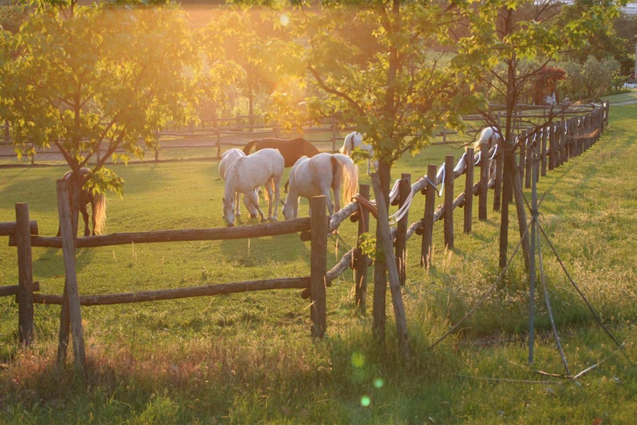Serene Holiday&Wine Farm Affi Exterior foto